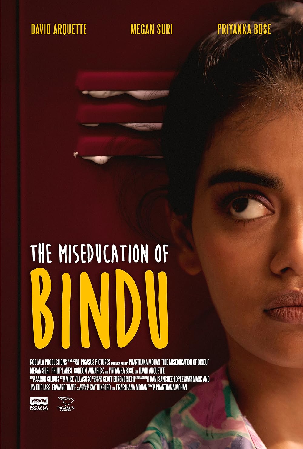 The Miseducation of Bindu background