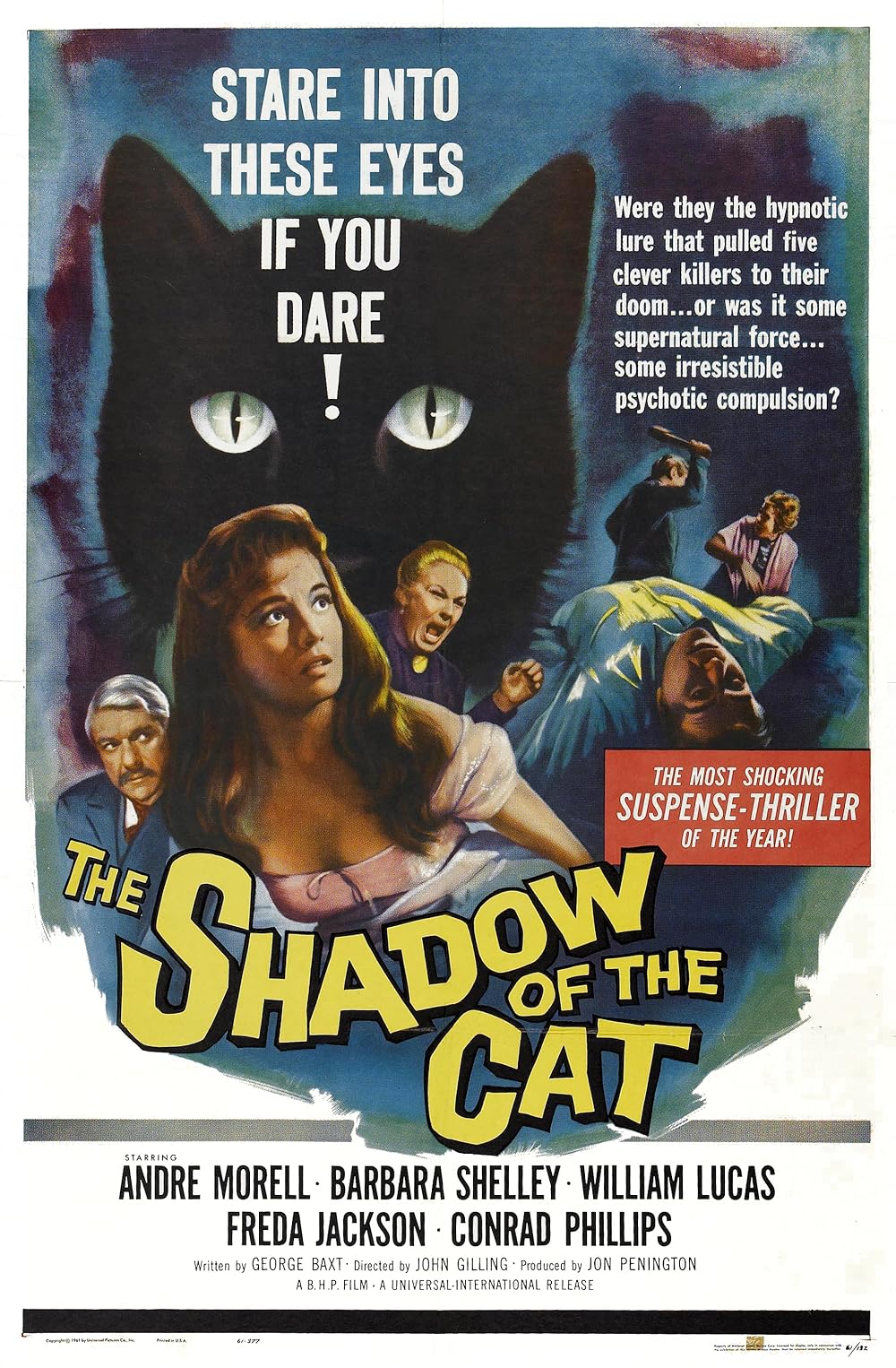 Le spectre du chat