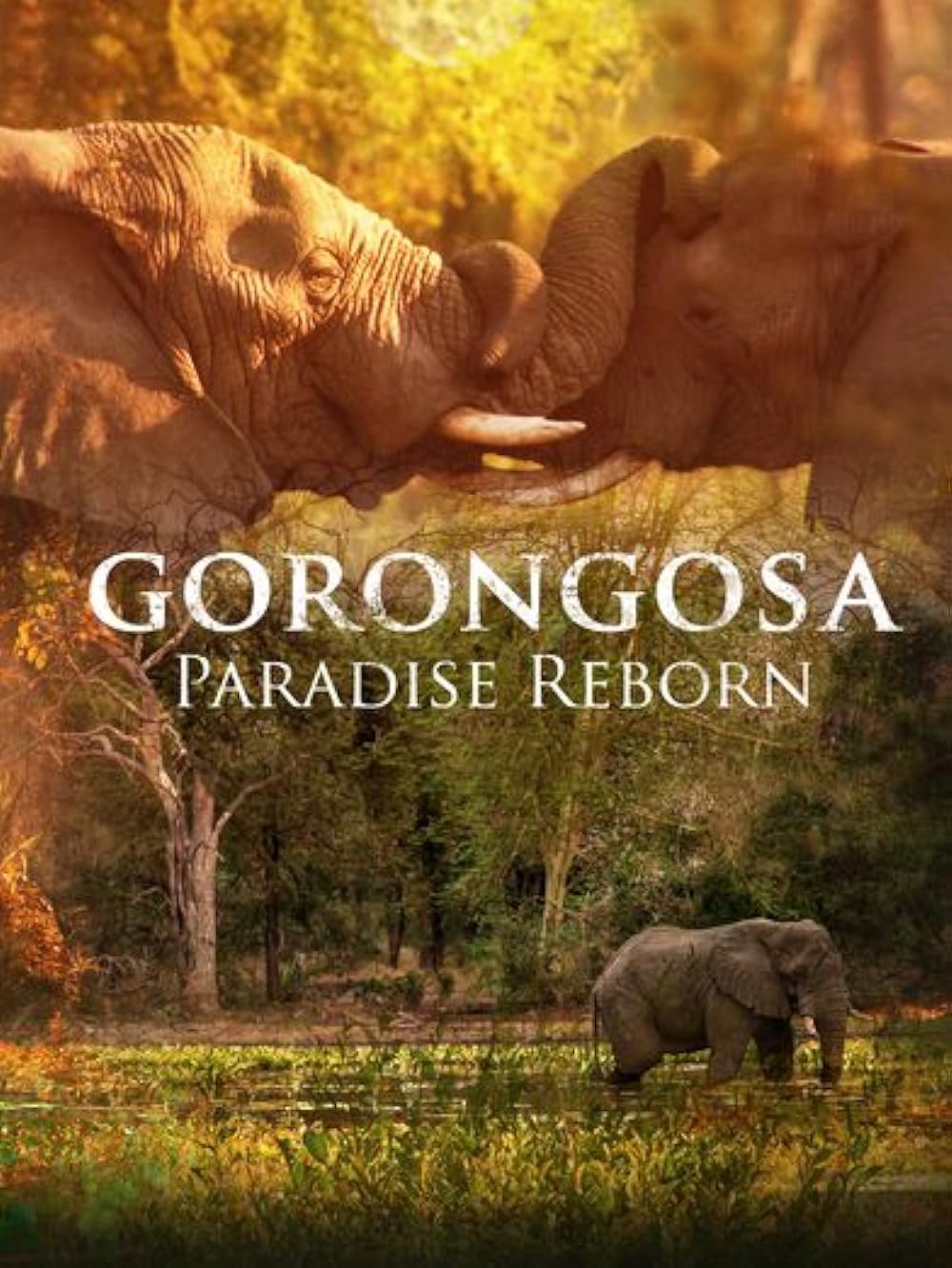 Gorongosa: Paradise Reborn background