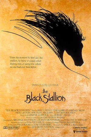 L'Étalon noir