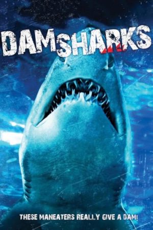 Shark Alert