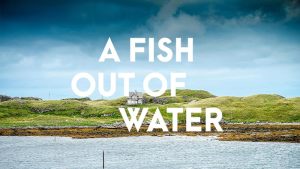 A Fish out of Water