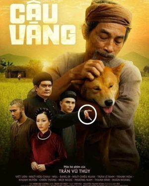 Cau Vang