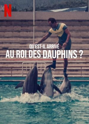 Qu'est-il arrivé au roi des dauphins?