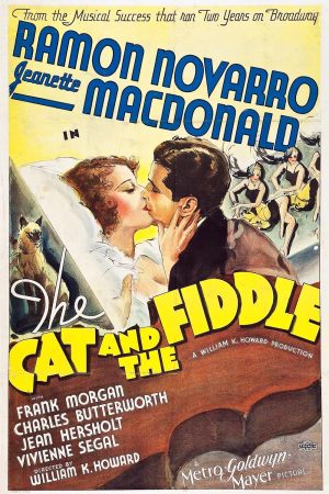 Le chat et le violon