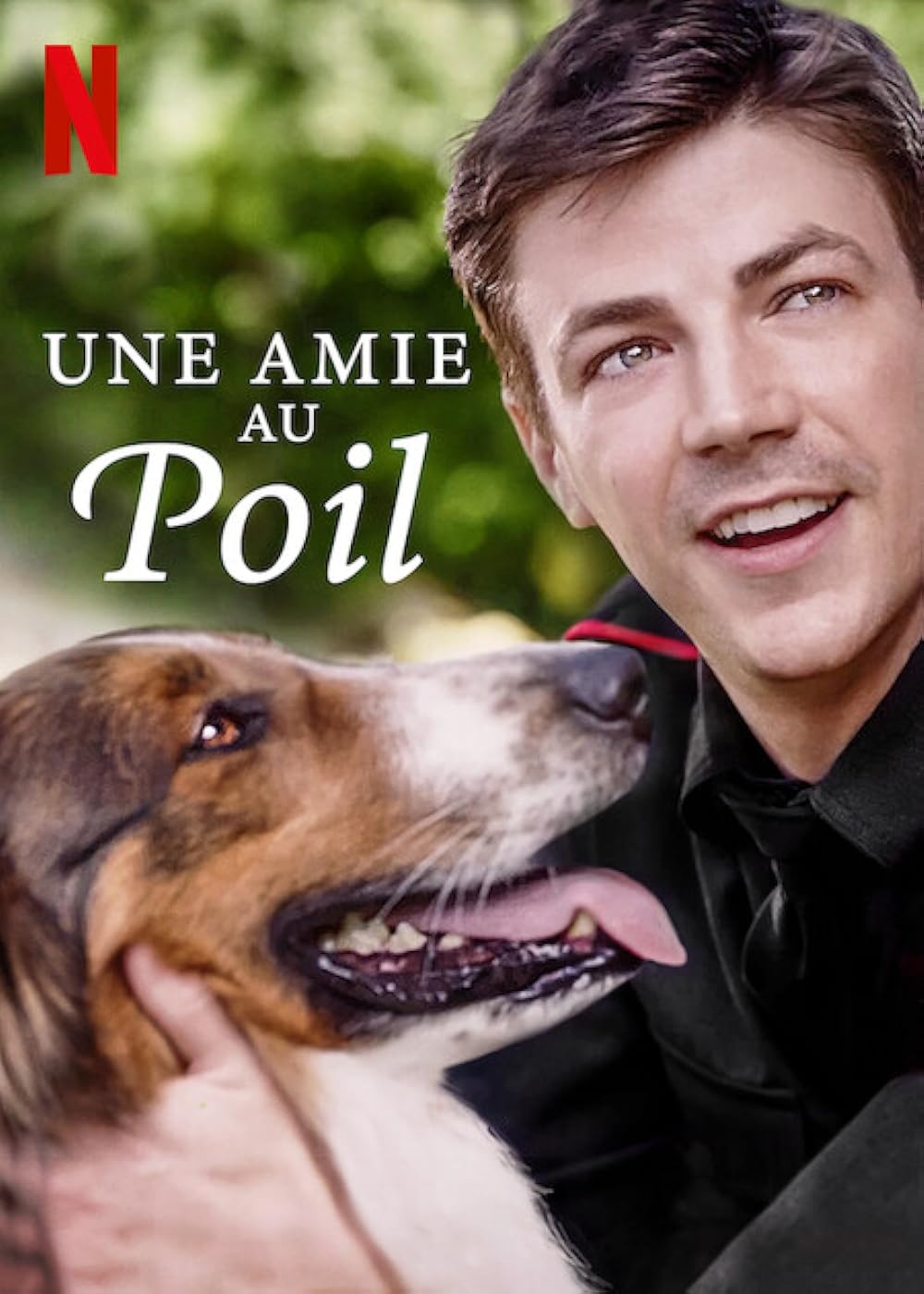 Une amie au poil background
