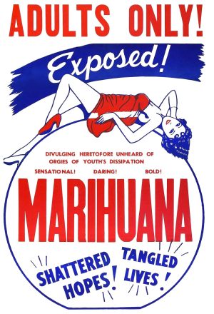 La reine du narcotique