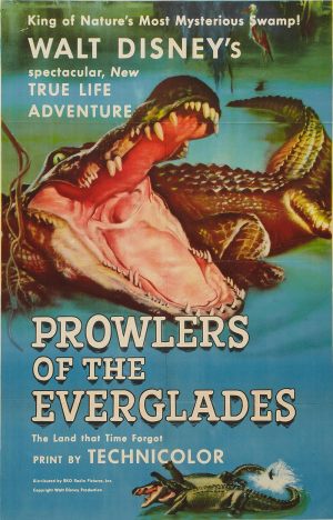 Everglades, monde mystérieux