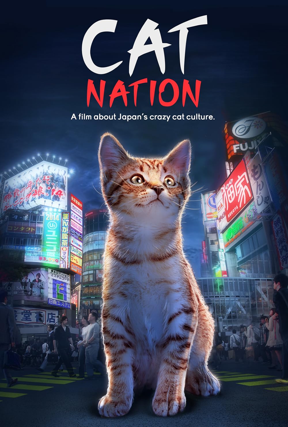 Cat Nation: A Film About Japan's Crazy Cat Culture background