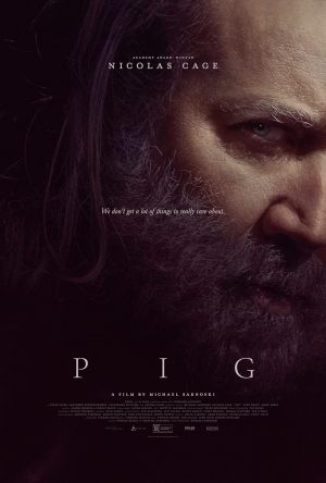 Pig