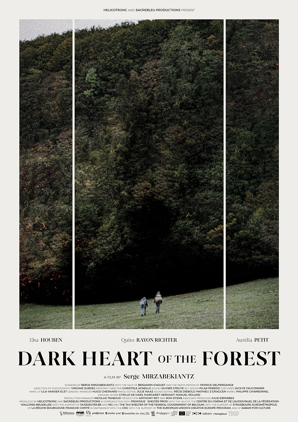 Le coeur noir des forêts