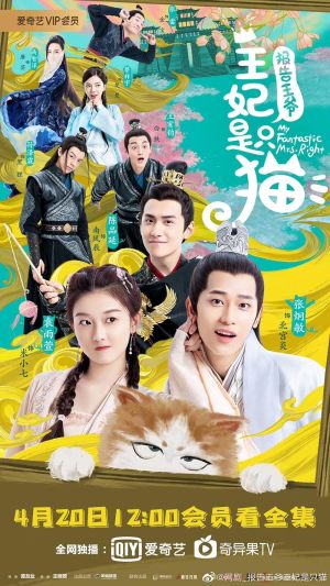 Baogao wangye, Wangfei shi zhi mao S1-S2