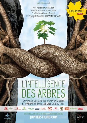 L'intelligence des arbres