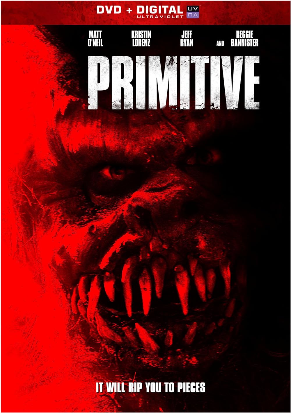 Primitive background