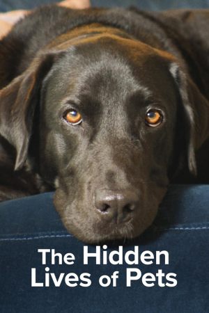 Dans la peau de nos animaux