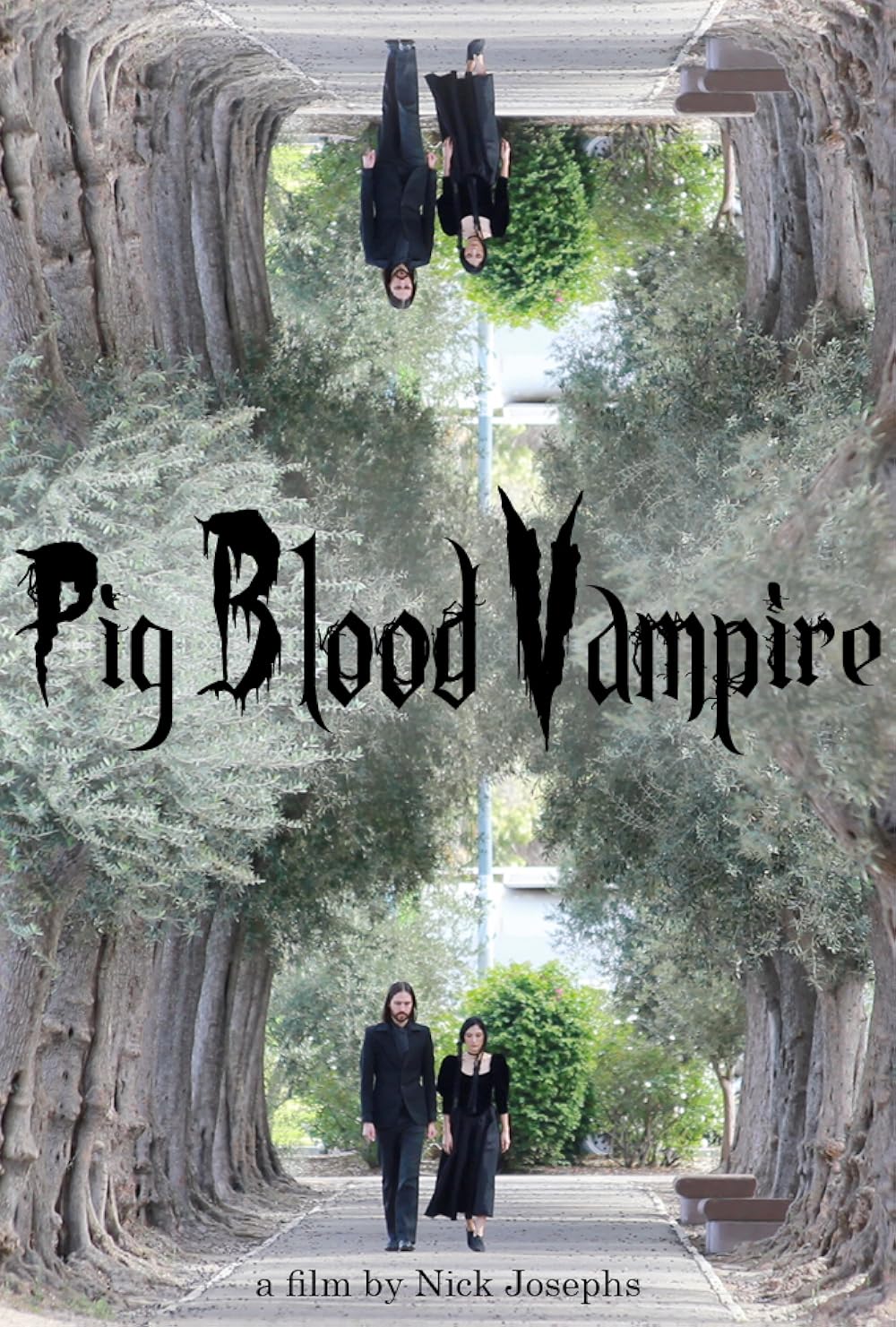Pig Blood Vampire background