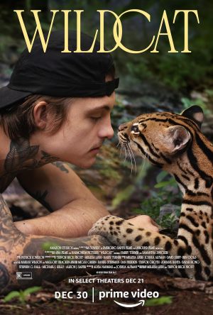 Chat sauvage