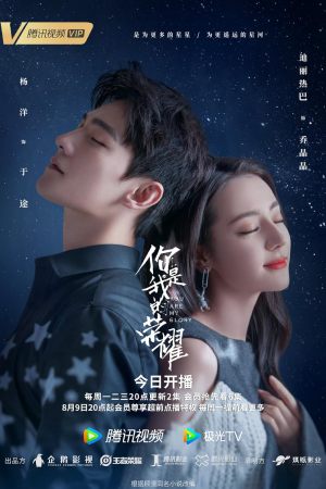 Ni shi wo de rong yao