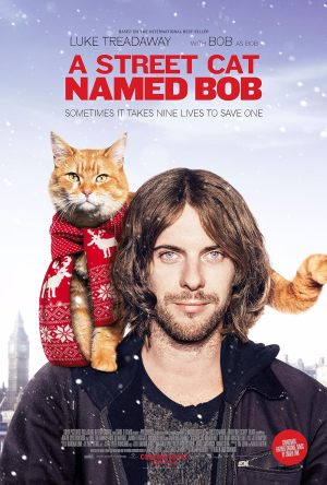 Un chat pour la vie