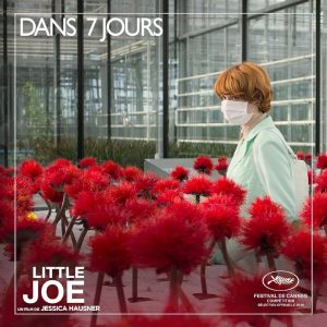 Little Joe