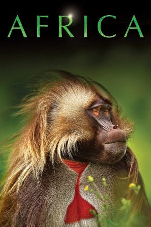 Afrique sauvage
