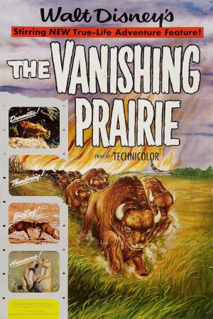 La grande prairie