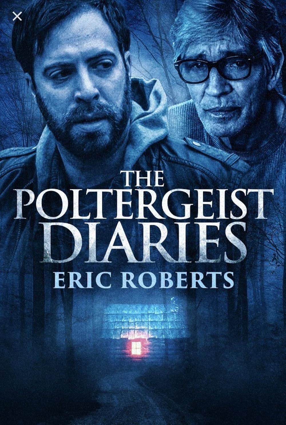 The Poltergeist Diaries background