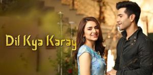 Dil Kya Karay