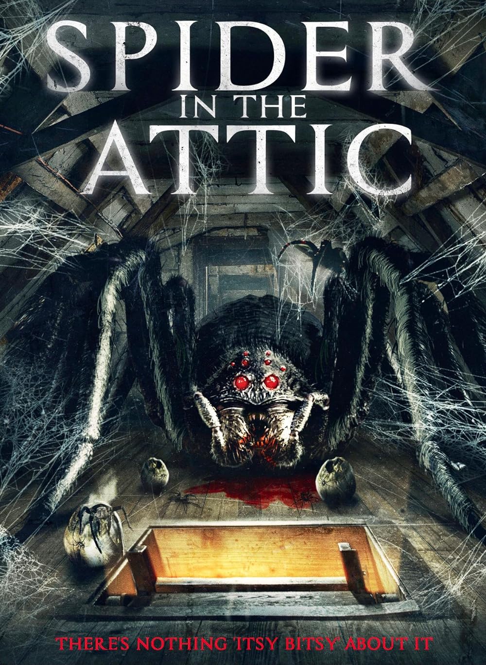 Spider from the Attic background