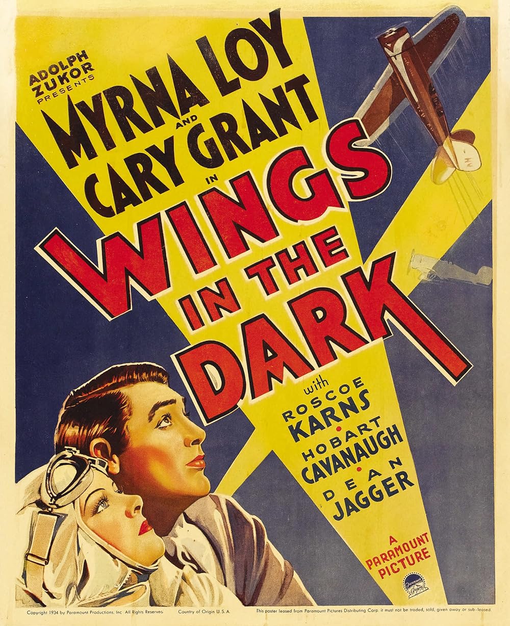 Les ailes dans l'ombre