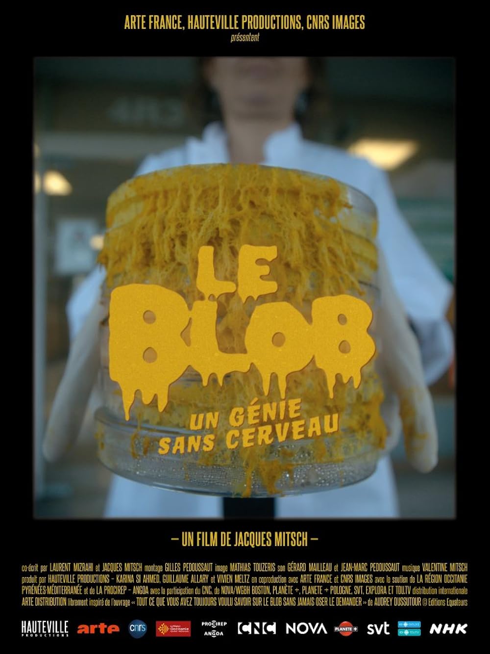 Le Blob, un génie sans cerveau
