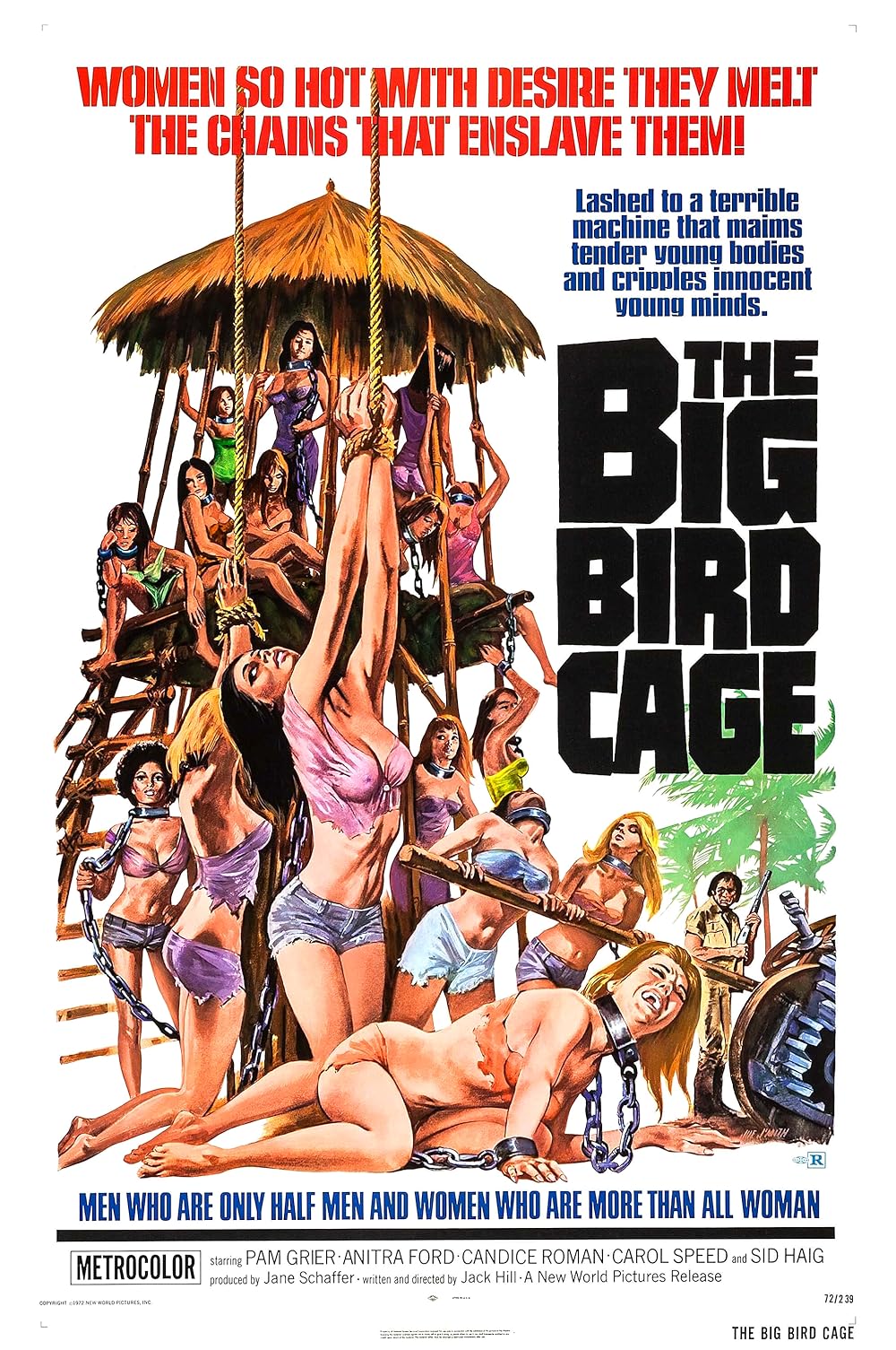 The Big Bird Cage background