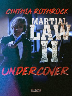 La loi des arts martiaux 2 : Karaté Cop