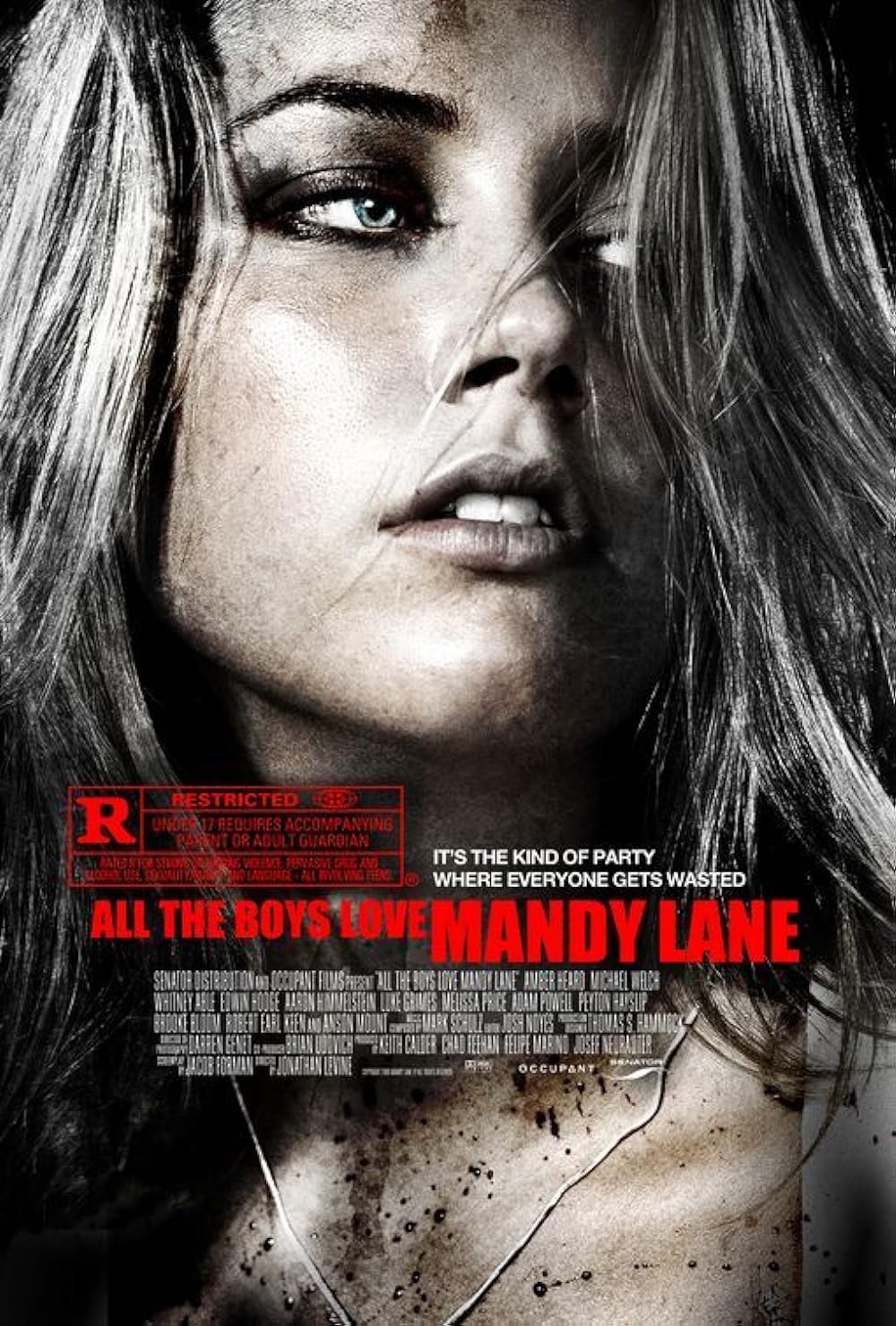 Tous les garçons aiment Mandy Lane
