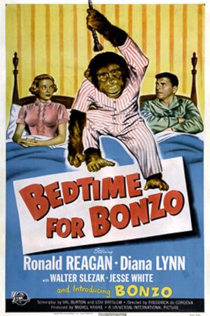 Les Aventures de Bonzo