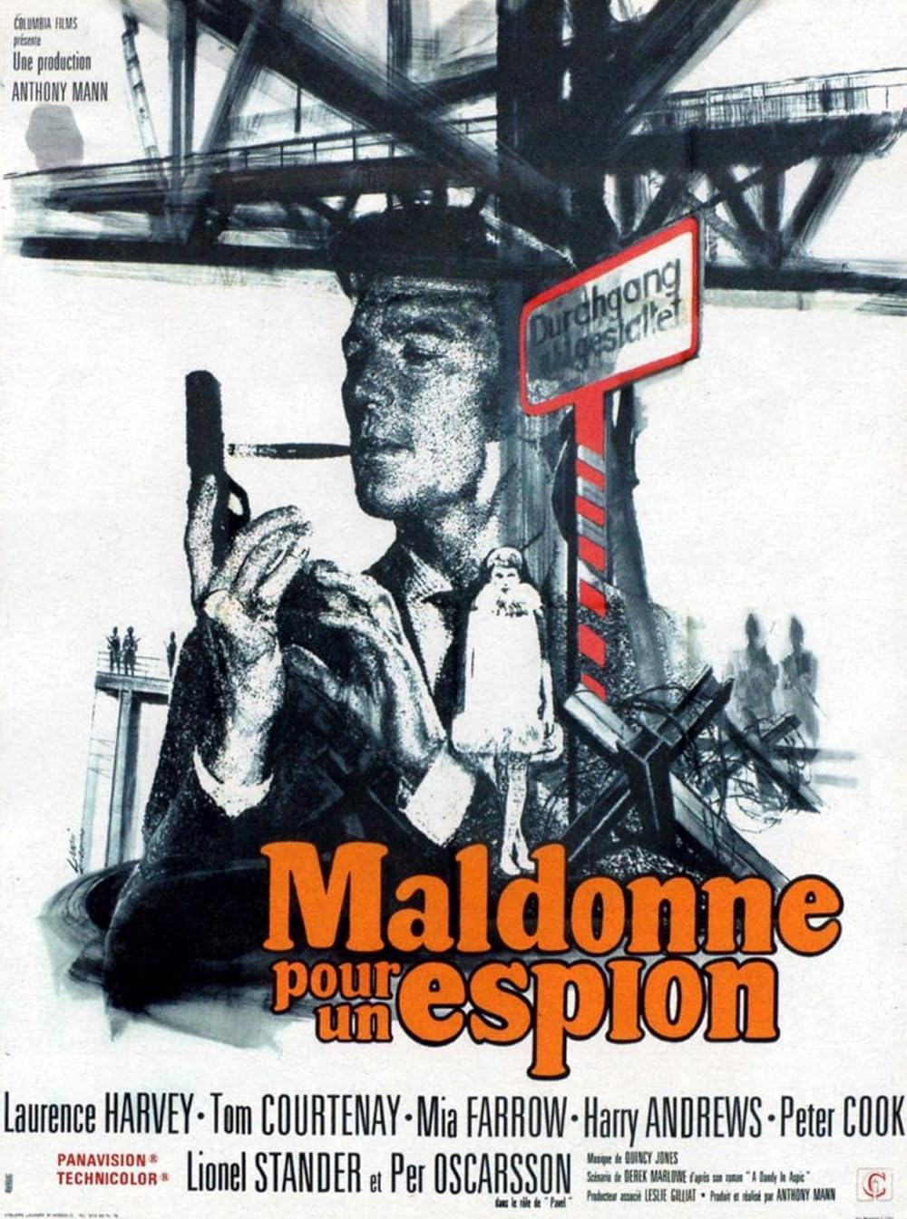 Maldonne pour un espion