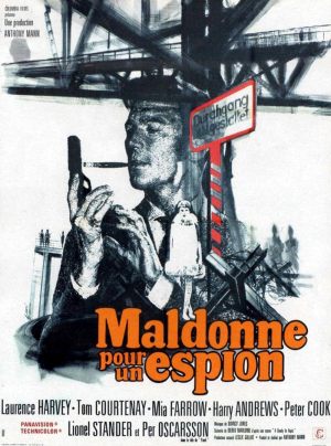 Maldonne pour un espion