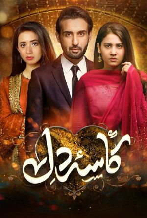 Kasa-e-Dil