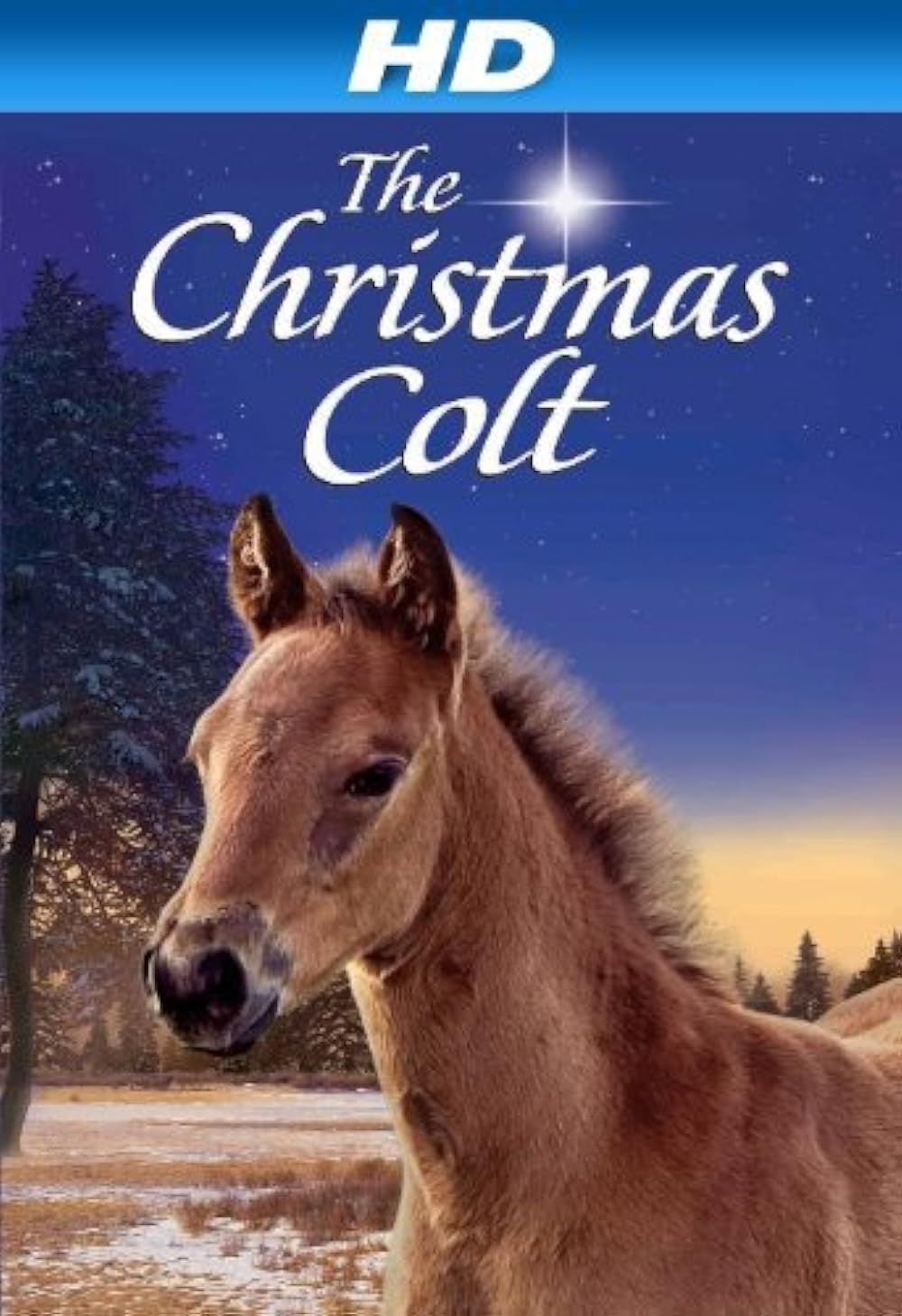 The Christmas Colt background