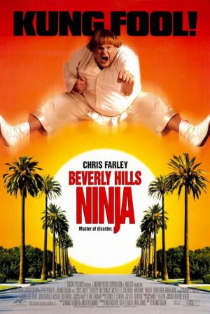 Le ninja de Beverly Hills