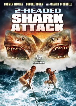 Sharks : Silencieux & Mortels