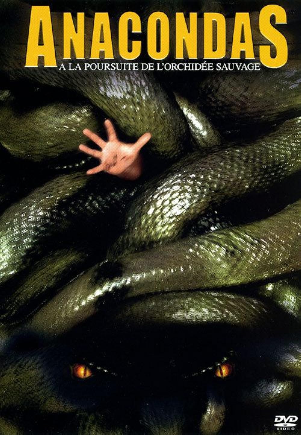 Anacondas : À la poursuite de l'orchidée de sang