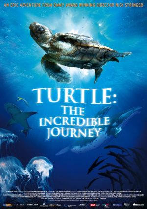 Turtle: The Incredible Journey