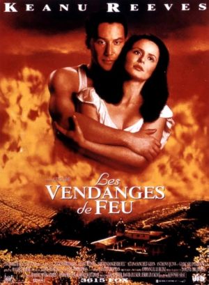Les vendanges de feu