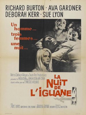 La nuit de l'iguane