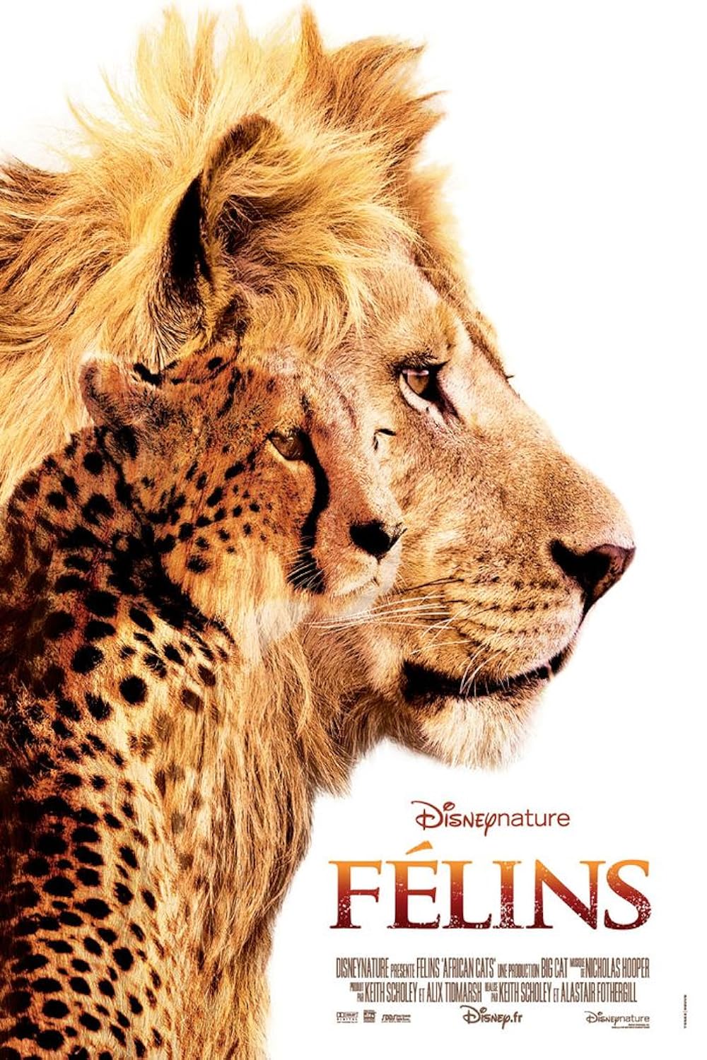 Félins: Le royaume du courage