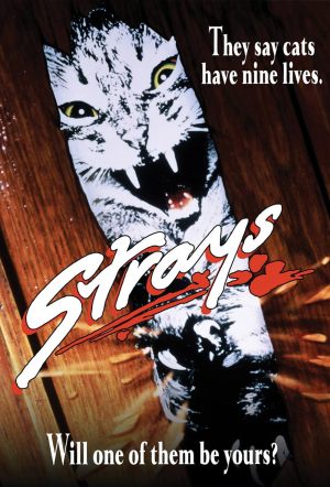 Killer Cats