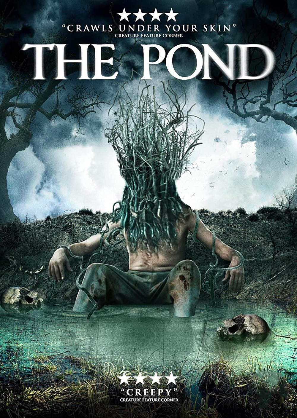 The Pond backdrop