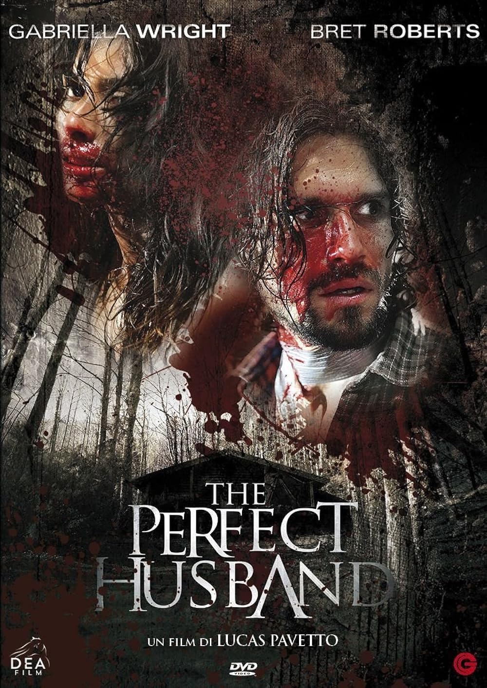 The Perfect Husband