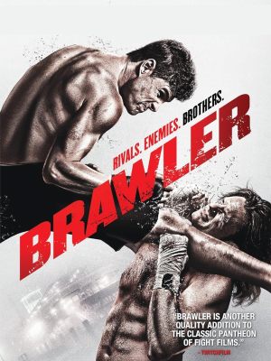 Brawler - sflix
